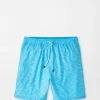 Ocean Traffic Swim Trunk