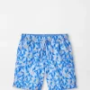 Parrot Talk Youth Swim Trunk